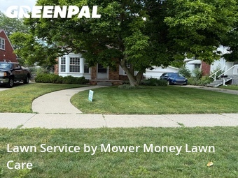 Lawn mowed in Eastpointe, 48021