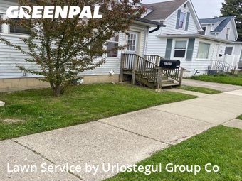 Grass Cut nearby Waukegan, IL, 