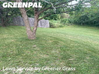 Grass Cut nearby Greenwood, IN, 