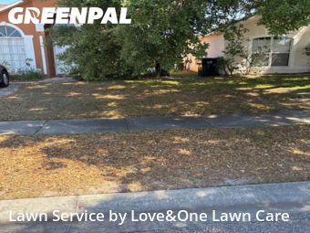 Lawn Care nearby Orlando, FL, 