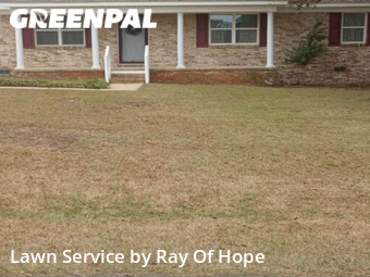Grass Cutting nearby Northport, AL, 