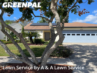 Grass Cut nearby Oviedo, FL, 