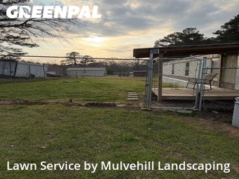 Lawn Cut nearby Morris, AL, 