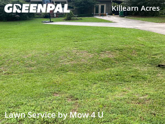 Grass Cut nearby Tallahassee, FL, 