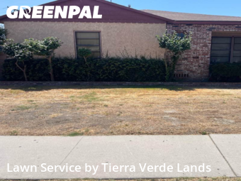 Work completed by local-lawn-care-services-in-Lynwood-CA