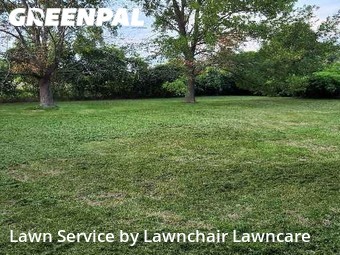 Grass Cut nearby Springfield, MO, 