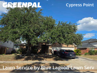 Lawn Cuttingin Cypress,77429,Lawn Cut by Blue Lagoon Lawn Serv, work completed in Dec , 2025