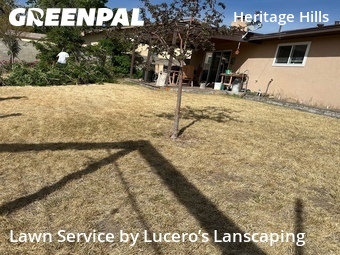 Grass Cutting nearby Albuquerque, NM, 