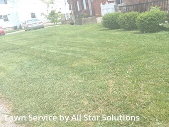 Lawn Mow nearby Affton, IL, 