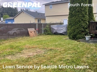 Lawn Maintenance nearby Everett, WA, 