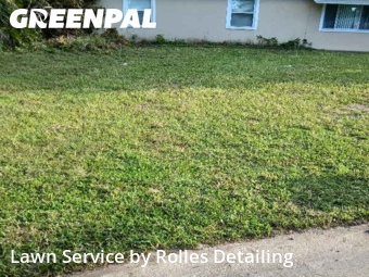 Lawn Work in Seminole, 33777, Weed Trimming by Rolles Detailing, work completed in Oct , 2025