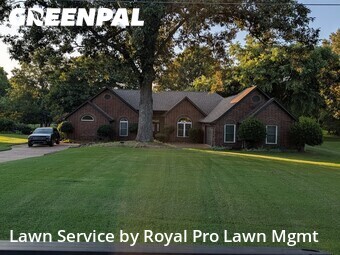 Lawn mowed in Olive Branch, 38654
