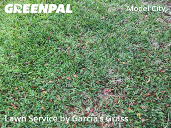 Grass Cut nearby Miami, FL, 