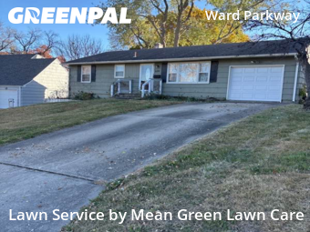 Landscapers In Kansas City,64114,Landscaping Maintenance by Mean Green Lawn Care, work completed in Nov , 2025