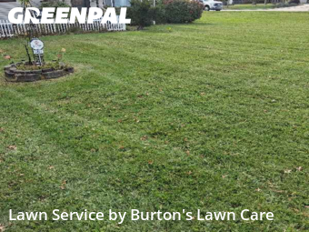 Yard Cutting in Youngstown, 44515, Backyard Mowing by Burton's Lawn Care, work completed in Nov , 2025