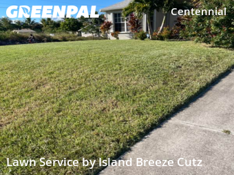 Weed Trimming in Lehigh Acres, 33971, Lawn Services by Island Breeze Cutz, work completed in Nov , 2025