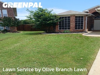 Grass Cutting nearby Fort Worth, TX, 