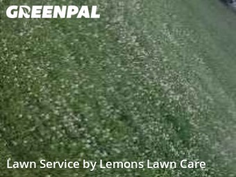 Yard Cutting nearby Hamilton, OH, 