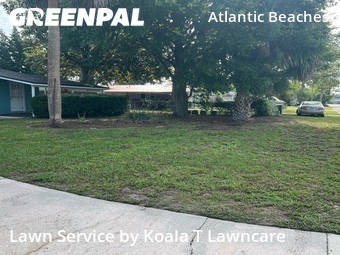Yard Mowingin Atlantic Beach,32233,Lawn Care Service by Koala T Lawncare, work completed in Jun , 2026