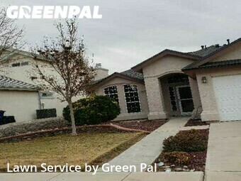 Grass Cut nearby El Paso, TX, 
