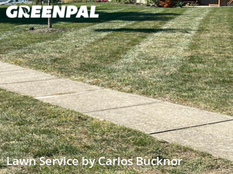 Lawn Mowing Service nearby Lee's Summit, MO, 