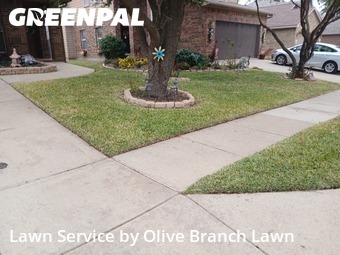 Lawn Carein Fort Worth,76244,Grass Cut by Olive Branch Lawn, work completed in Dec , 2025