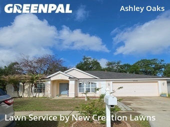 Lawn Maintenance nearby Riverview, FL, 