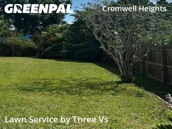 Lawn Service nearby St. Petersburg, FL, 