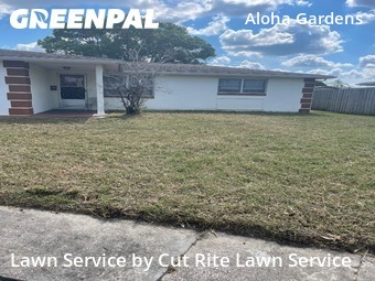Grass Cutting nearby Holiday, FL, 