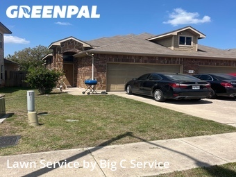 Grass Cut nearby Hutto, TX, 