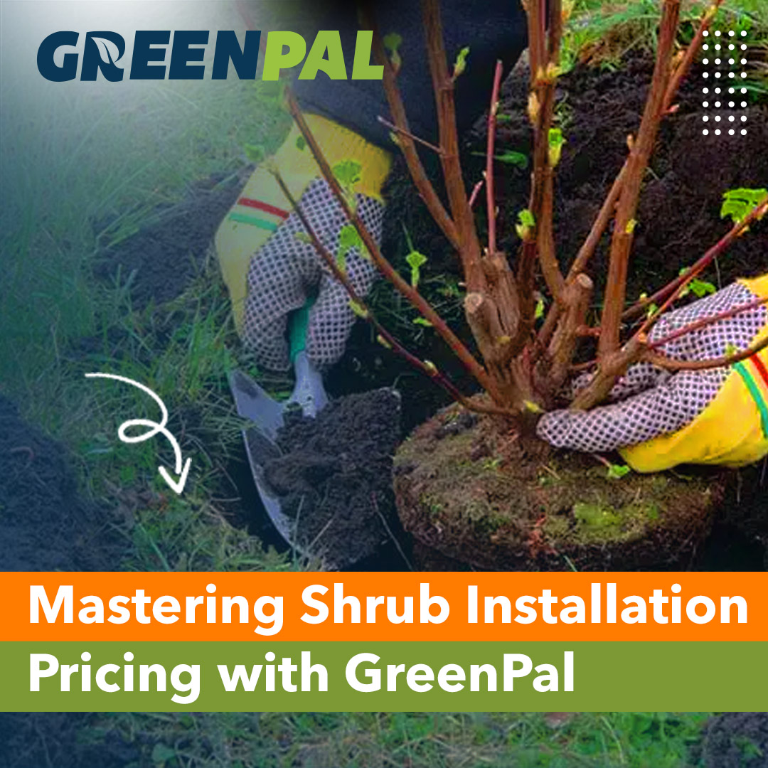 How to Price Plant and Shrub Installation: The GreenPal Comprehensive