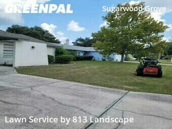 Lawn Maintenance nearby Tampa, FL, 