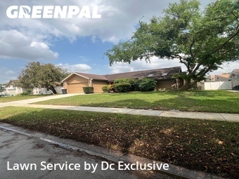 Grass Cutting nearby Orlando, FL, 