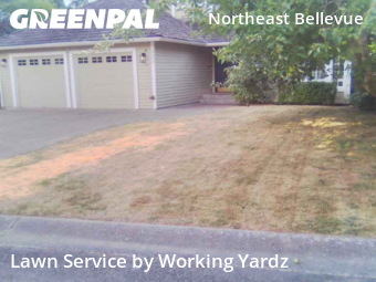 Yard Mowing nearby Bellevue, WA, 