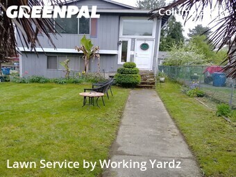 Lawn mowed in Seattle, 98108