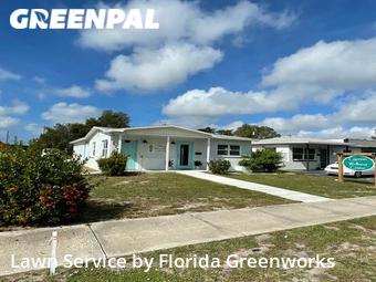 Lawn Cut nearby St. Petersburg, FL, 