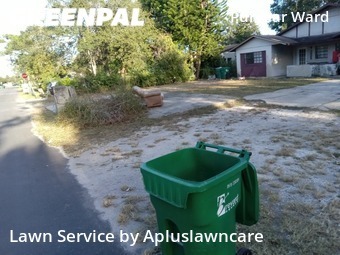 Lawn Maintenance nearby Mims, FL, 