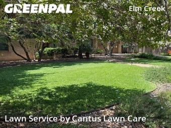 Lawn Care Service nearby San Antonio, TX, 