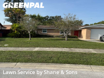Grass Cut nearby Largo, FL, 