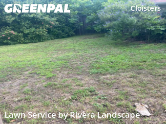 Grass Cut nearby Plano, TX, 