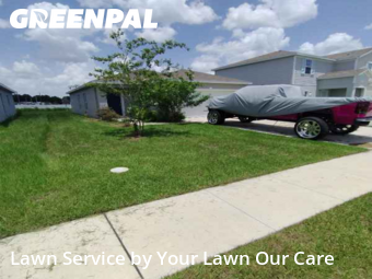 Lawn Cut nearby Winter Haven, FL, 