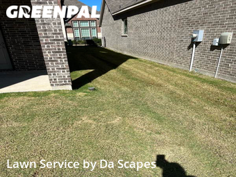 Grass Cutting nearby Cypress, TX, 