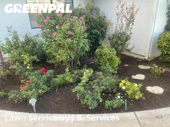 Lawn Cut nearby Sanger, CA, 