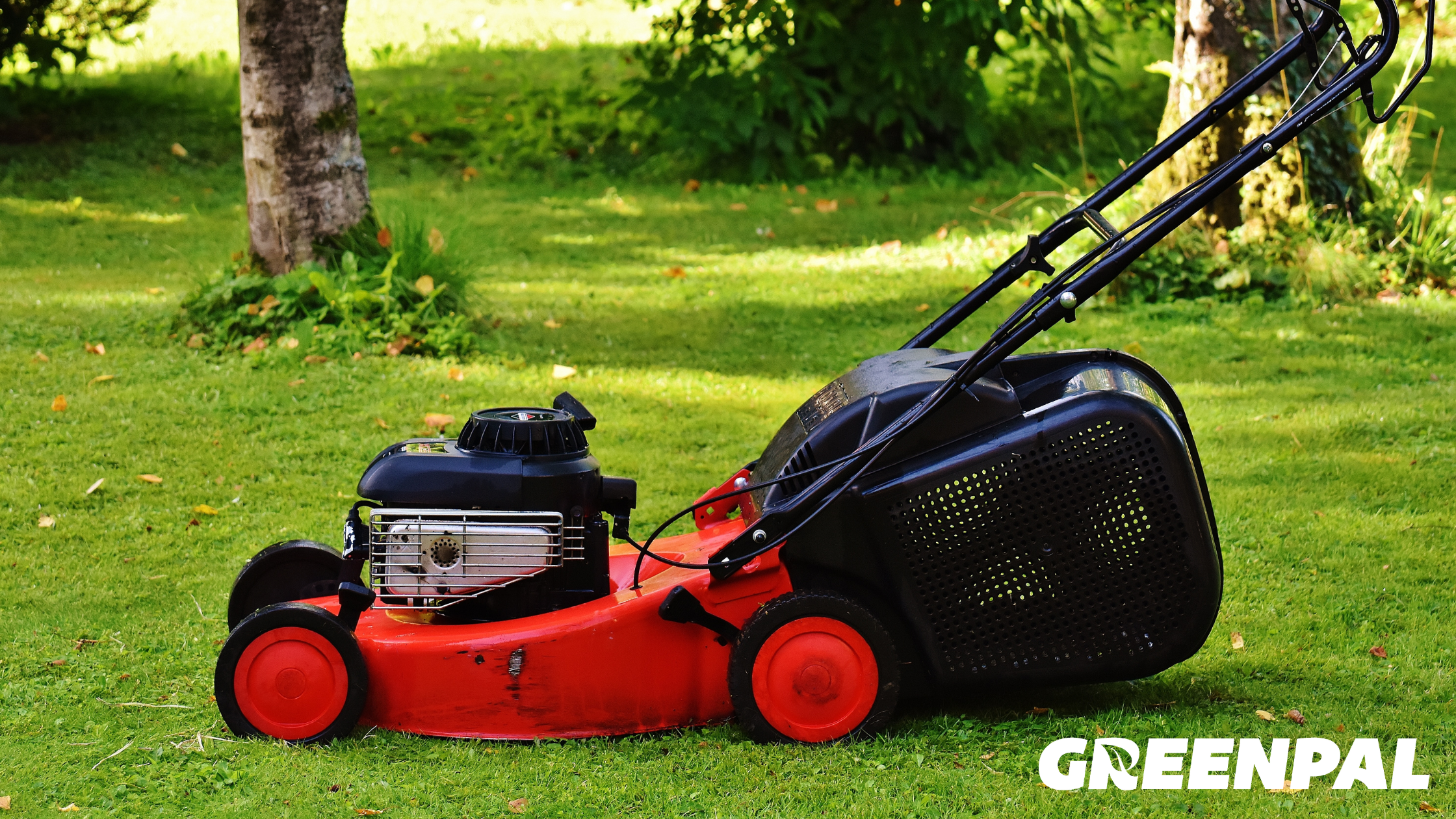 When Mowing Season Starts Where You Live: A First-Mow Guide for 2025 By Greenpal
