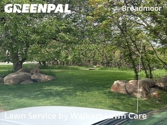 Lawn Mowing nearby Colorado Springs, CO, 