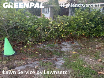 Lawn Carein Hollywood,33020,Grass Cutting by Lawnsetc, work completed in Feb , 2026