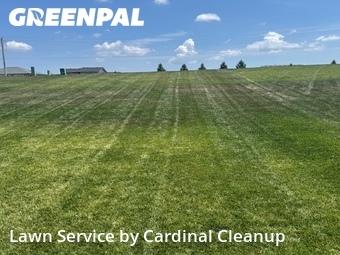 Lawn Mowing nearby Bennington, NE, 