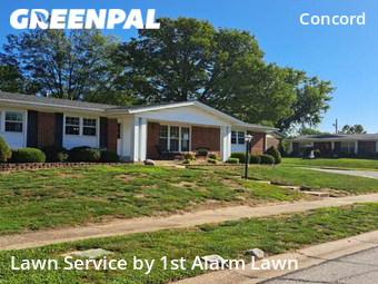 Yard Cutting nearby St. Louis, MO, 