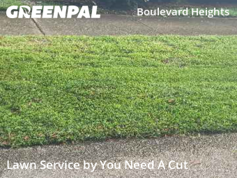 Lawn Care Service nearby Hollywood, FL, 