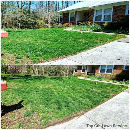 Top Cut Lawn Service Lawn Care Services in Annapolis, MD